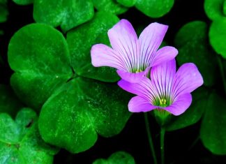 Jak przyciągnąć uwagę klienta? Jak przyciągnąć uwagę klienta?