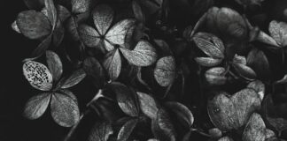 Co opłaca się kopać 2023?