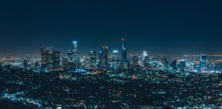 Na jakim rynku działa firma?