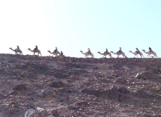 Co to jest macierz kompromisów?